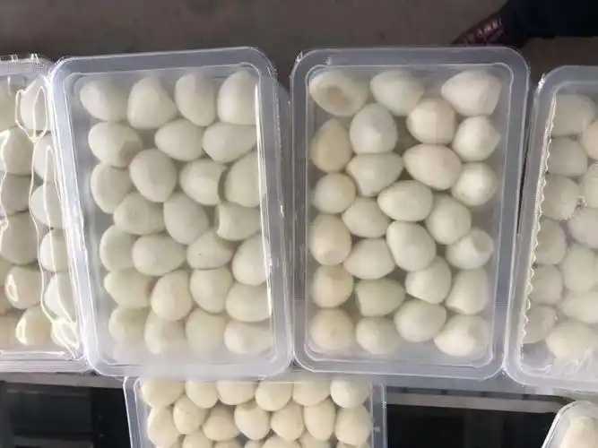 整線解決方案，優(yōu)化生產(chǎn)流程：鵪鶉蛋包裝神器來襲